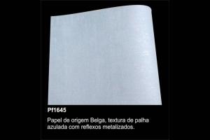 Papel de Parede KeyPaper Pais e Filhos Ref.: PF1645