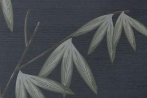 Papel de Parede Internacional Classic Design Ref.: M17306